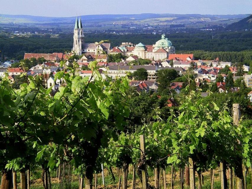 Hotel Pension Alte Muehle Klosterneuburg Buitenkant foto
